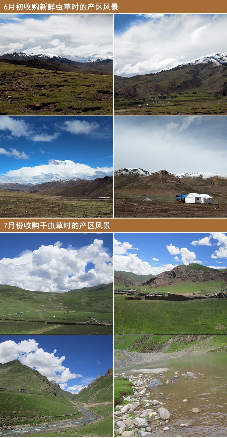 那曲虫草产地,西藏那曲巴青县,那曲冬虫夏草产地风光